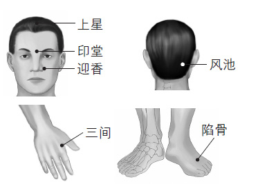 鼻塞、打鼾等鼻子問題的防治